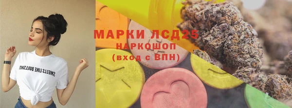 хмурый Арсеньев