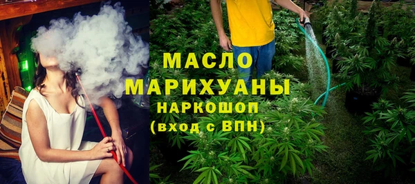 хмурый Арсеньев