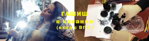 хмурый Арсеньев