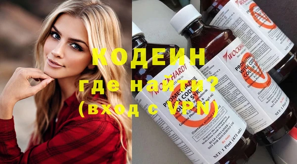 хмурый Арсеньев