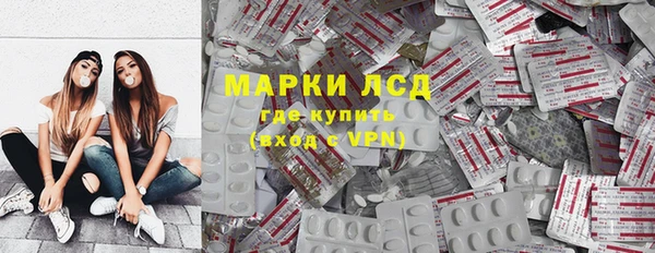 хмурый Арсеньев