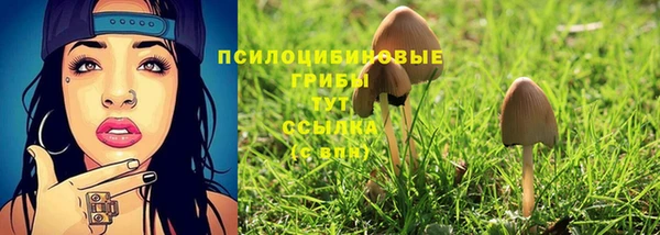 хмурый Арсеньев