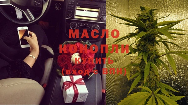 хмурый Арсеньев