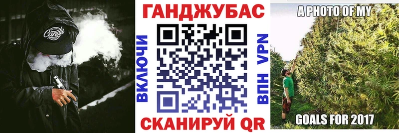 Конопля сатива  Оха 